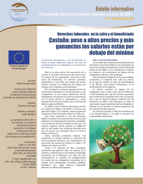 Boletín del SGP+ 3:  Castaña: Pese a altos precios y más ganancias los salarios están por debajo del mínimo