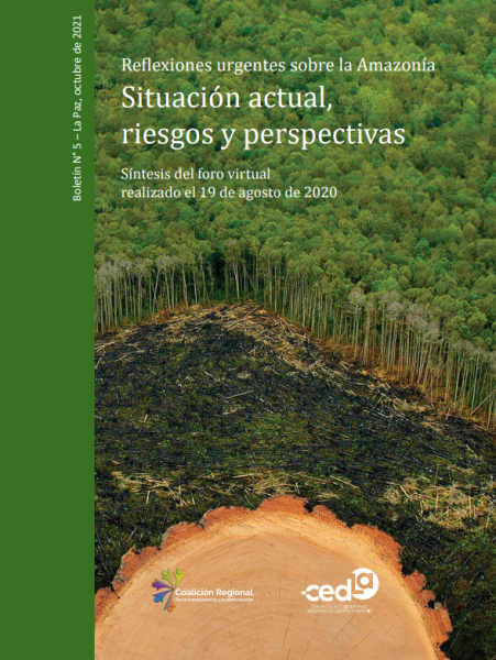 Reflexiones urgentes sobre la Amazonía. Situación actual, riesgos y perspectivas