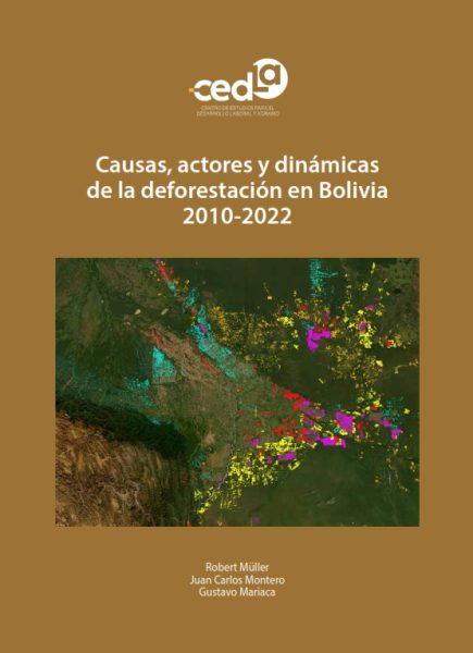 Causas, actores y dinámicas de la deforestación en Bolivia 2010-2022