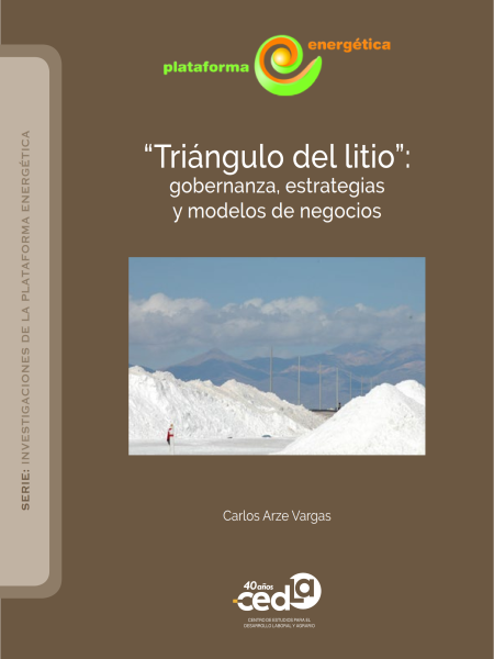 “Triángulo del litio”: gobernanza, estrategias y modelos de negocios